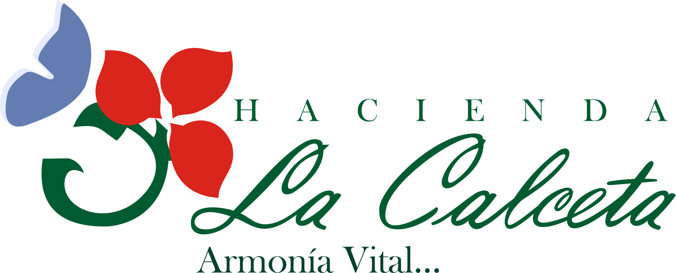 LA CALCETA PNG.png